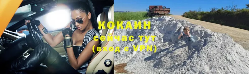 как найти закладки  omg маркетплейс  Cocaine Fish Scale  Кадников 